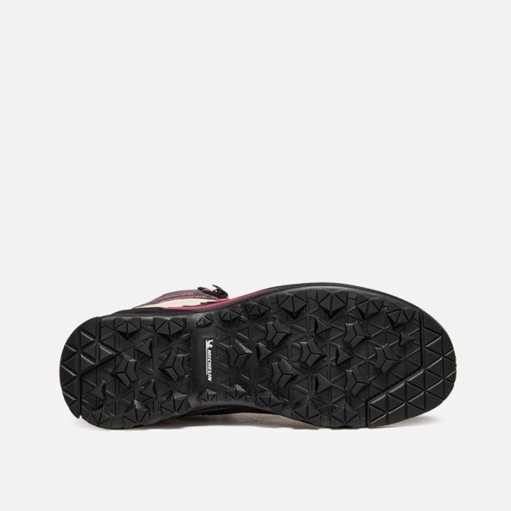 Vyriški žygio batai Garmont Akron Mid GTX, pilki
