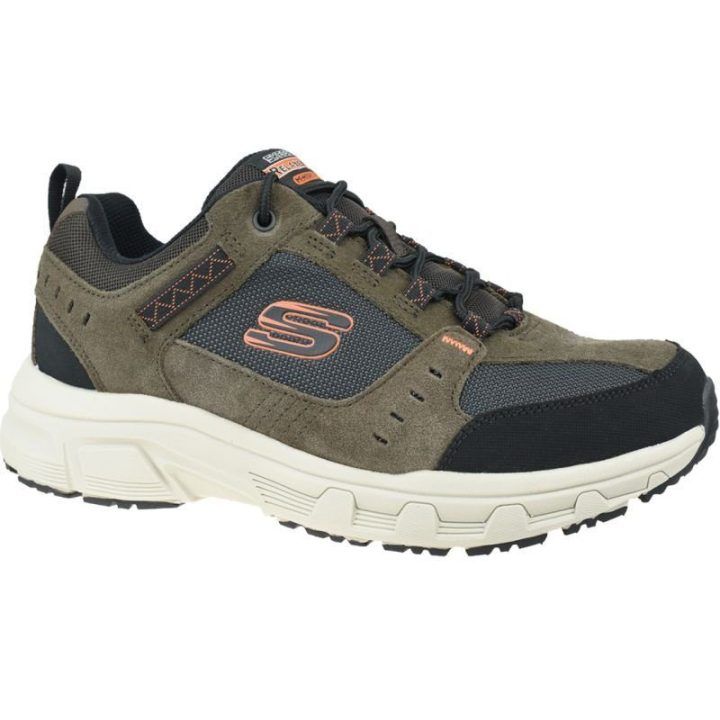 Vyriški laisvalaikio batai Skechers Oak Canyon, rudi