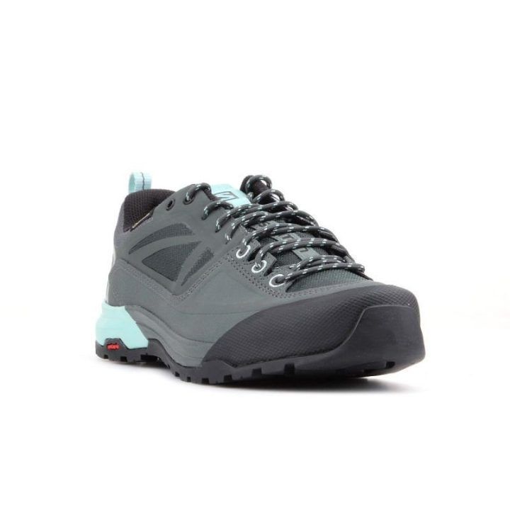 Vyriški sportiniai batai Salomon X Alp Spry GORE-TEX