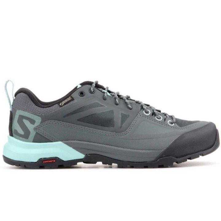 Vyriški sportiniai batai Salomon X Alp Spry GORE-TEX
