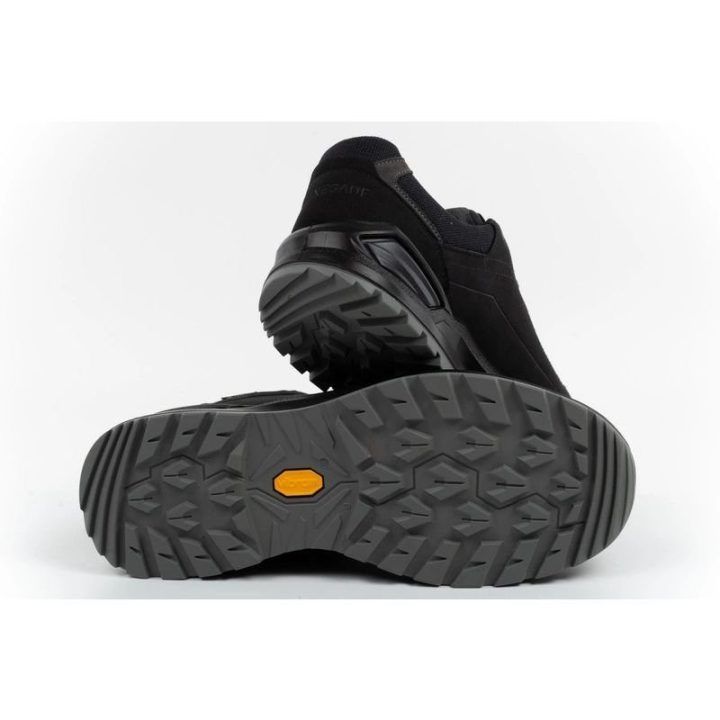 Vyriški trekkingo batai Lowa Renegade EVO GORE-TEX
