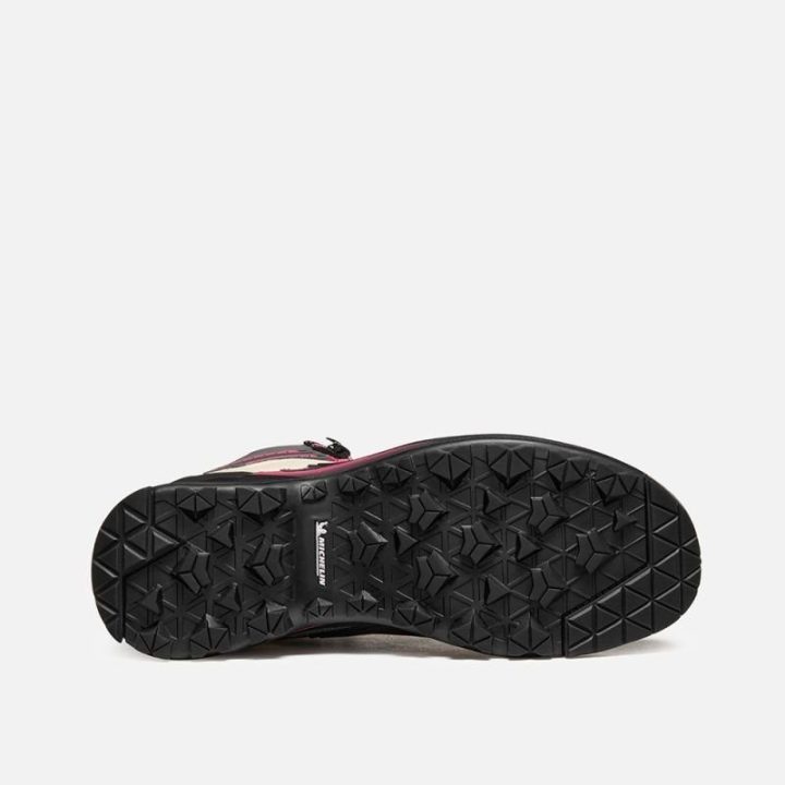 Vyriški kalnų batai Garmont Akron Mid GTX, pilki