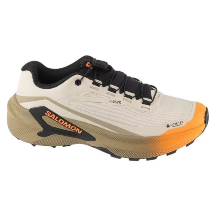 Moteriški sportiniai batai Salomon Genesis 2 GTX, rudi