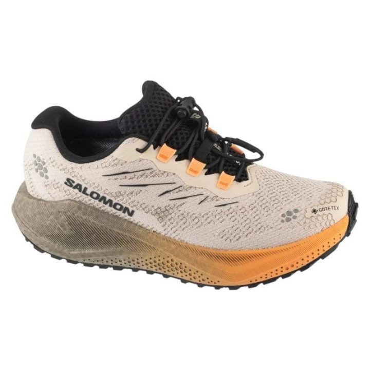 Moteriški sportiniai batai Salomon Aero Blaze 4 Grvl GTX, pilki