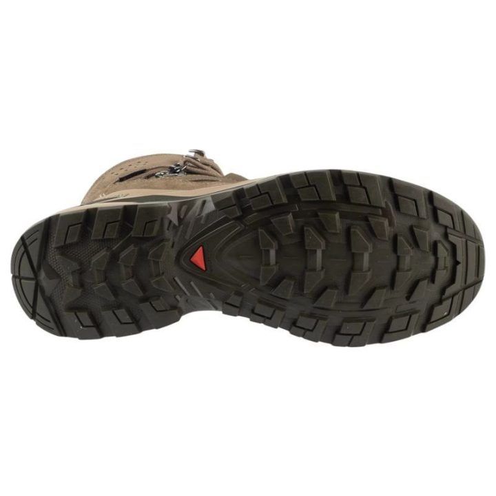 Aulinukai Salomon Quest Echo GTX, rudi