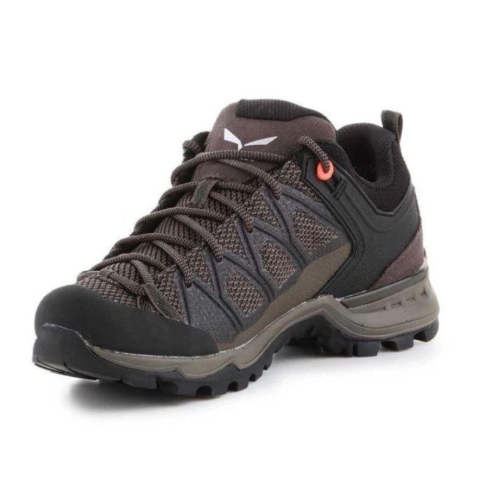 Moteriški žygio batai Salewa MTN Trainer Lite GTX, rudi