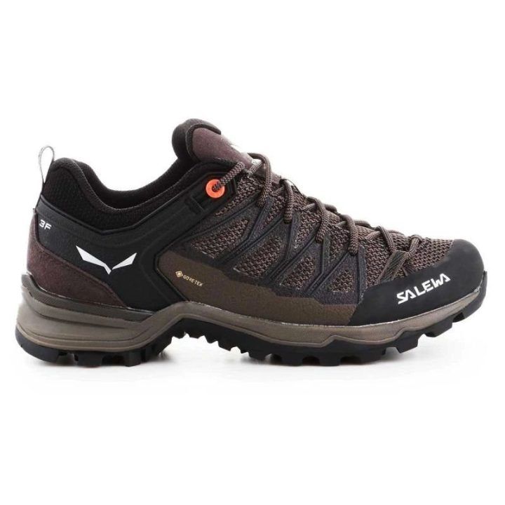 Moteriški žygio batai Salewa MTN Trainer Lite GTX, rudi