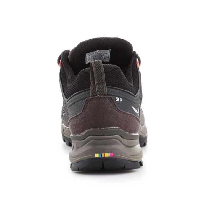 Moteriški žygio batai Salewa MTN Trainer Lite GTX, rudi