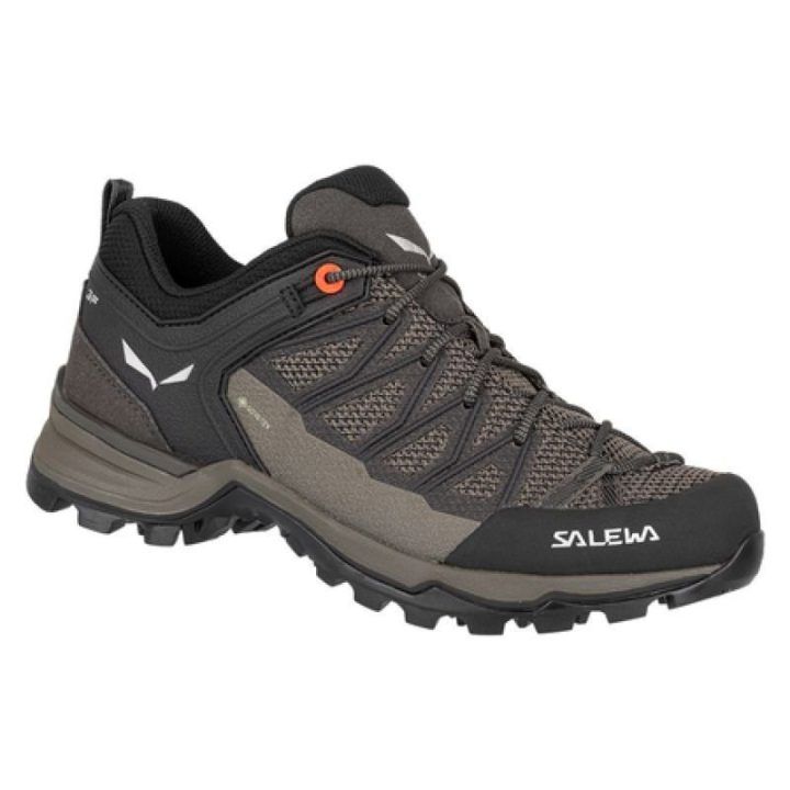 Moteriški žygio batai Salewa MTN Trainer Lite GTX, rudi