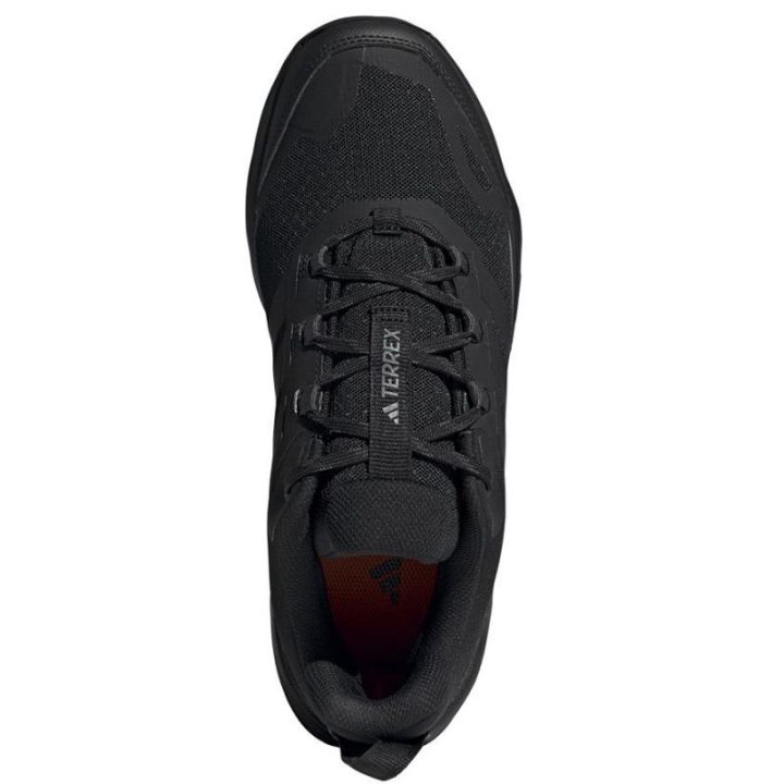 Vyriški žygio batai adidas Terrex Skychaser AX5