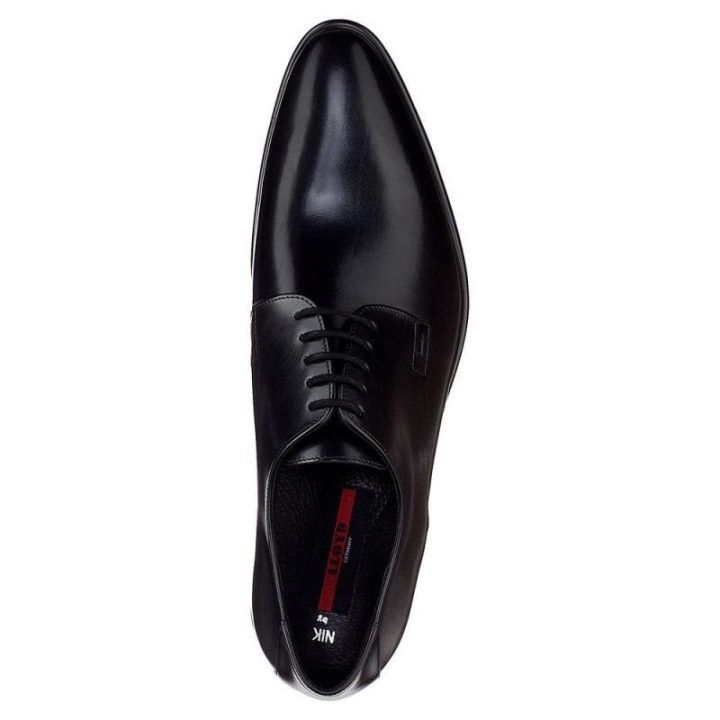 Elegantiški moteriški bateliai Lloyd Nik