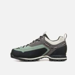 Moteriški žygio batai Garmont Dragontail MNT Evo GTX, pilki ir žalsvi